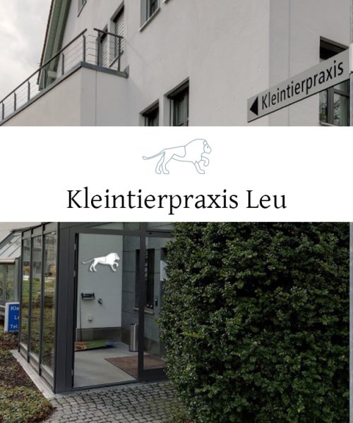 klientpraxisleustreet.jpg